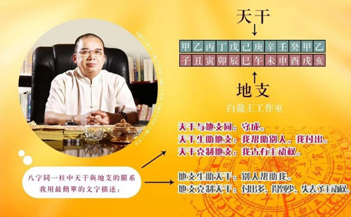 2023年天干地支关系