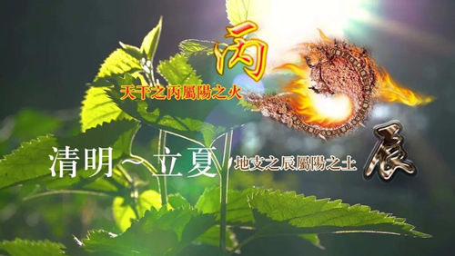 丙辰月运势
