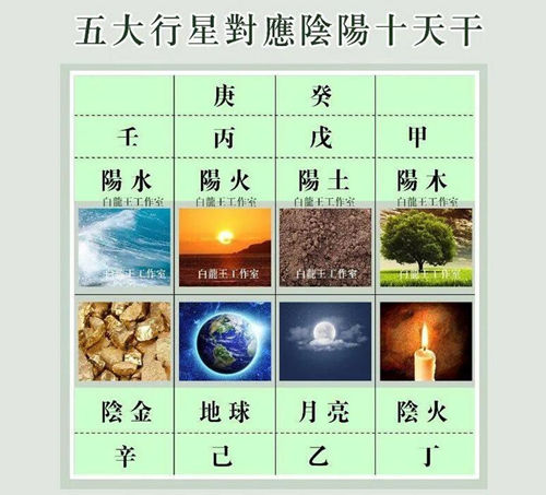 阴阳十天干