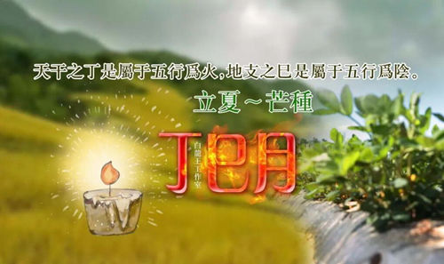 癸卯年丁巳月运势