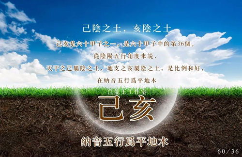 己亥