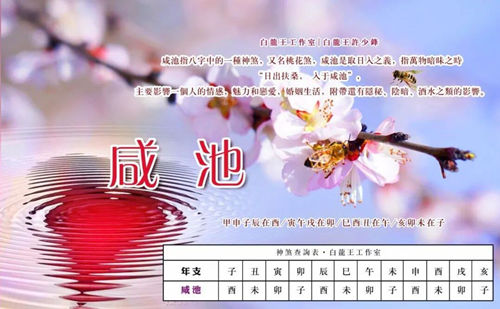 八字桃花