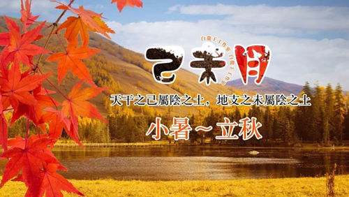 己未月运势