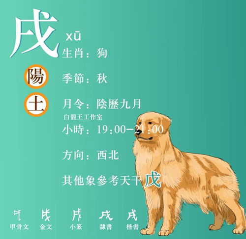 地支戌
