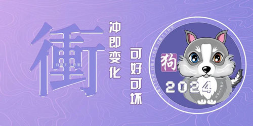 2024年冲太岁