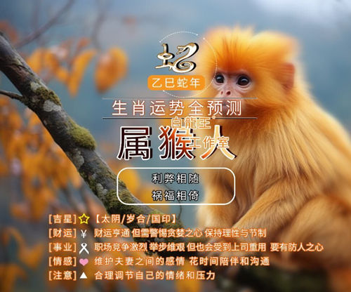 属猴人2025年运势