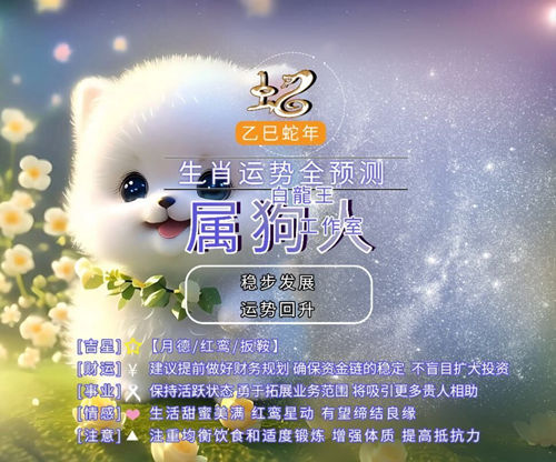 属狗人2025年运势