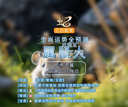 属鼠人2025年运势