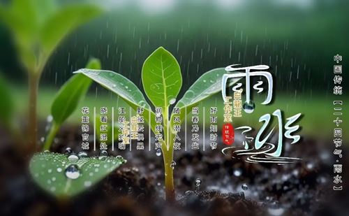 雨水节气