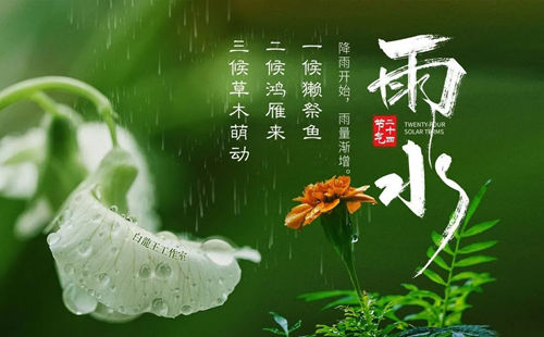 雨水节气