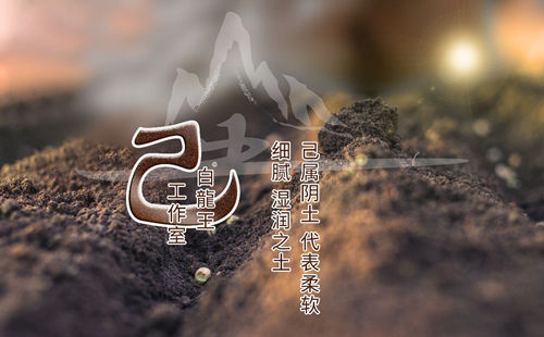 己土2025年运势