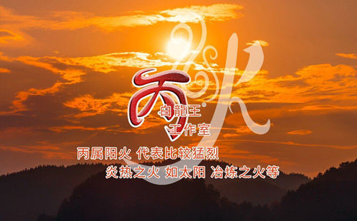 丙火日主2025年运势