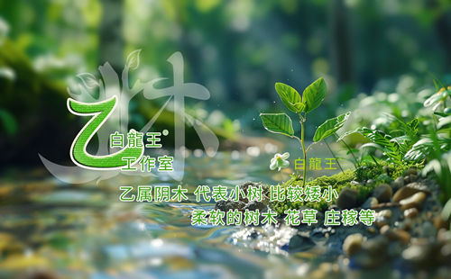 乙木日主2025年运势