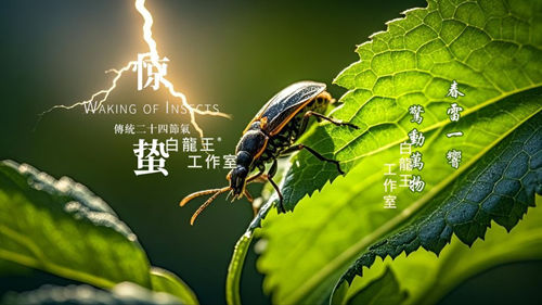 惊蛰祭白虎