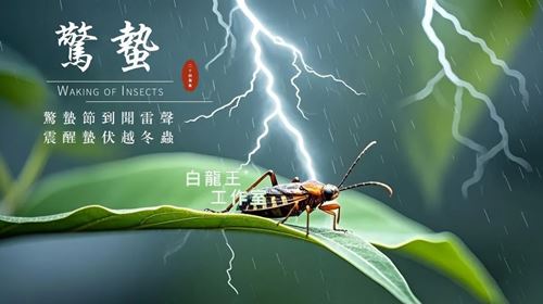 惊蛰