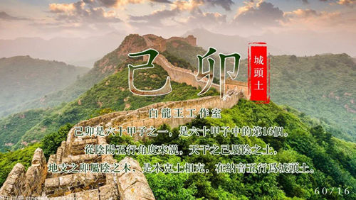 乙巳年己卯月运势