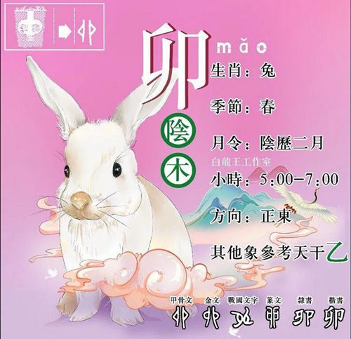 地支卯