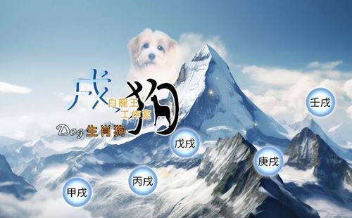 不同年份出生的属狗人2025年运势