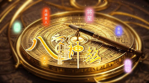 八字十二神煞