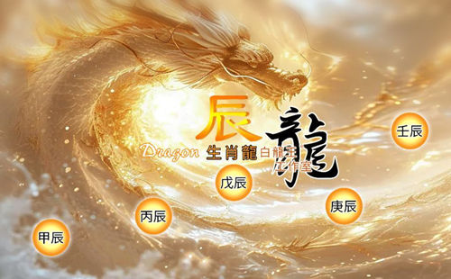 地支辰