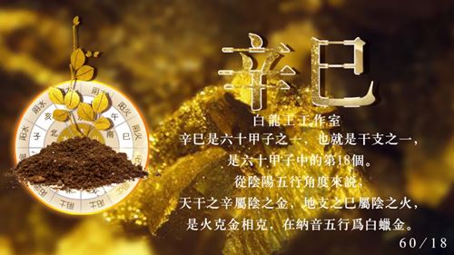 辛巳月运势