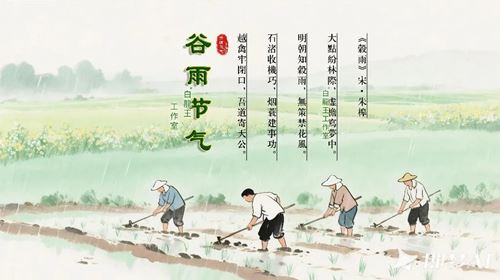 谷雨习俗