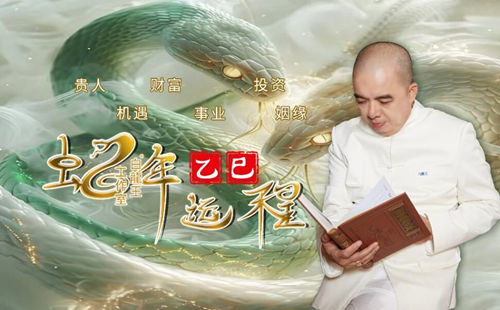 2025乙巳年运势