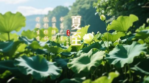 夏至转运