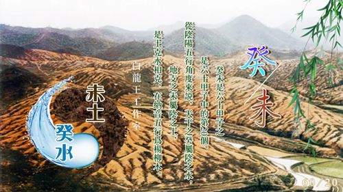 2025年癸未月运势