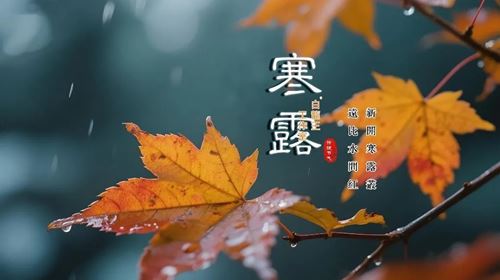 寒露到聚财运!3生肖迎来好事连连