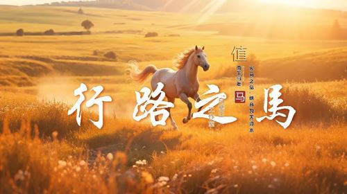 2026年属马人运势解析!