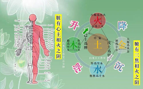 梳理情绪与五脏关系，能提升运势!