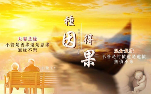 世间相遇，皆有因果：可能是债要还，恩要报