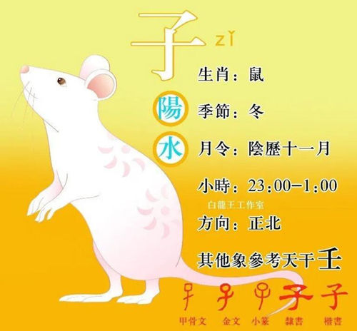 地支“子”与其他地支的关系及影响