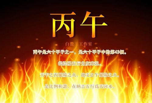 2026丙午年：火，是照亮前路，还是伤人