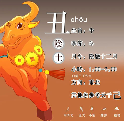 地支“丑”与其他地支的关系及影响