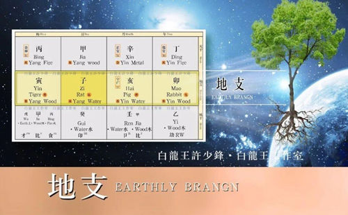 你的地支里，藏着怎样的自己?