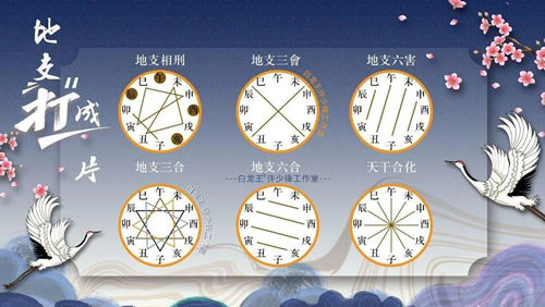 藏在地支里的合作智慧!找对搭档，合作无忧