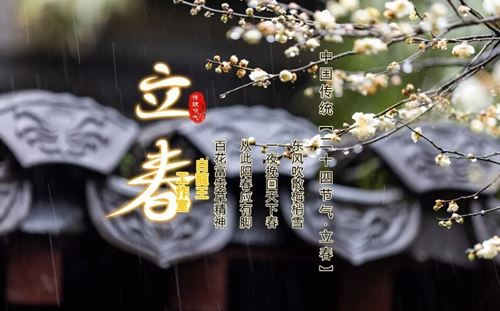 立春将至，运势蓄力中……