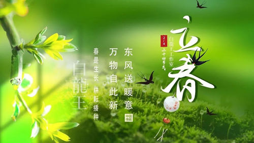 2026年立春开新局，3生肖事业财运双旺