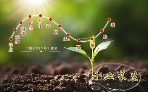一句话读懂十二长生运