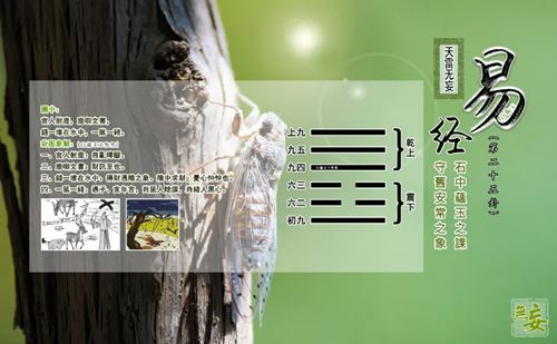 2026年2月(庚寅月)运势解析：无妄卦指引——雾里看花，是真或假