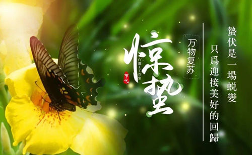 惊蛰，唤醒丙午年的好运气