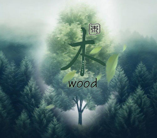 2026年，木为忌的人容易有好运