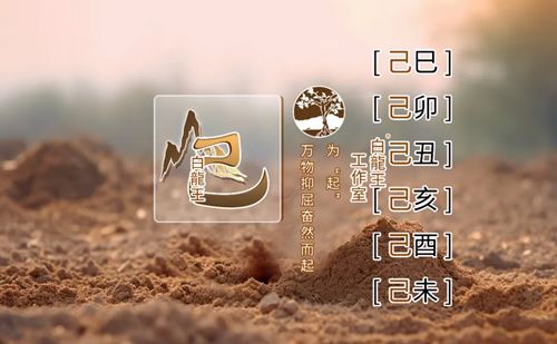 己土2026丙午年运势解析：暖阳照田，贵人显达