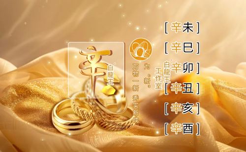 辛金2026丙午年运势解析：拭去灰尘，价值回归