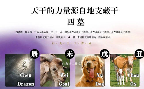 人生格局的“压舱石”，为什么要先看“库”?