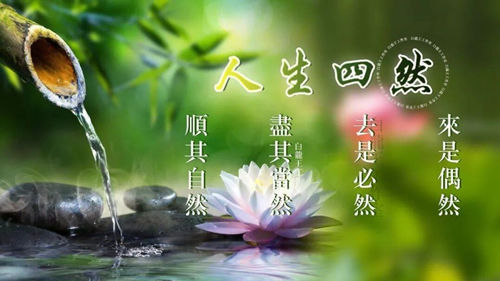“事缓则圆”，不着急的智慧