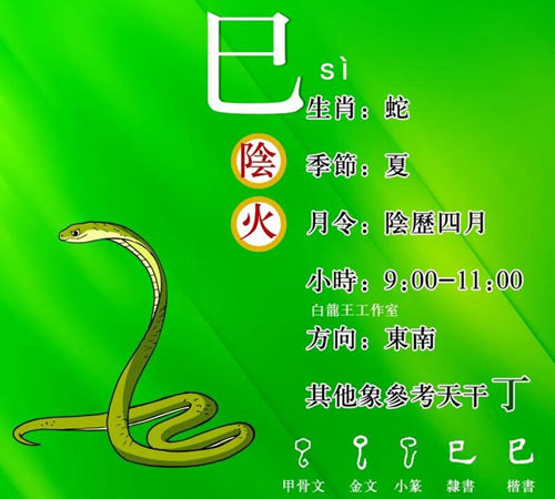 地支“巳”与其他地支的关系及影响